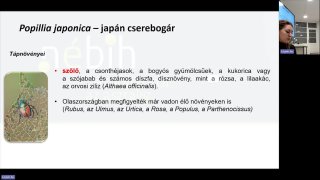 Tudnivalók a növényegészségügyi szakterületről