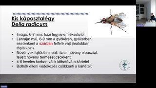 Repce növényvédelmének alapjai