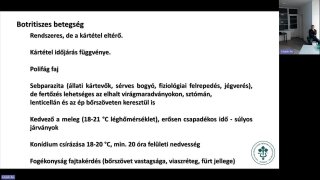 Szőlő növényvédelmének főbb elemei