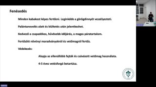 Kabakosok növényvédelmének főbb elemei