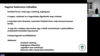 Hagymafélék növényvédelmének főbb elemei