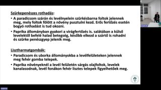 Zöldséghajtatás