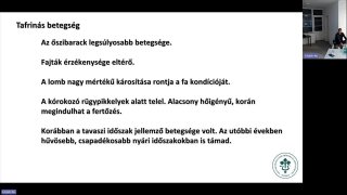 Kajszi, őszibarack, szilva növényvédelmének főbb elemei