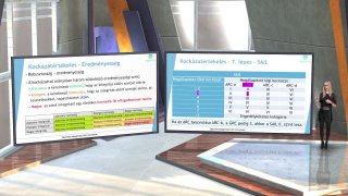 IV/3. A kockázatértékelés lépései második rész